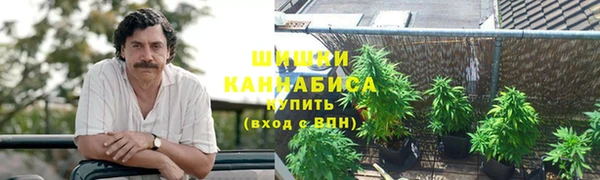 стафф Абаза