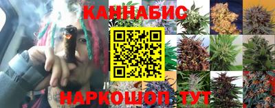 a pvp Шебекино