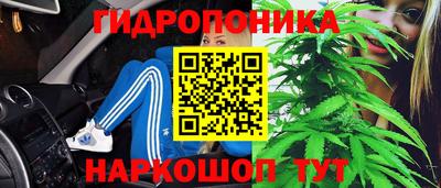 a pvp Шебекино