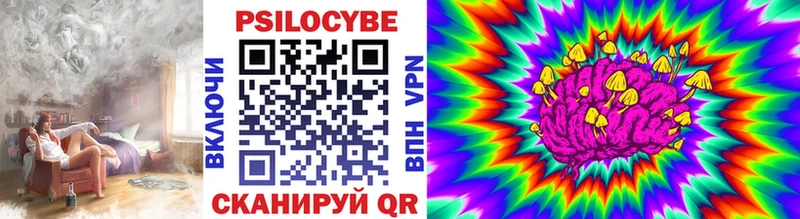 Псилоцибиновые грибы прущие грибы  Архангельск 