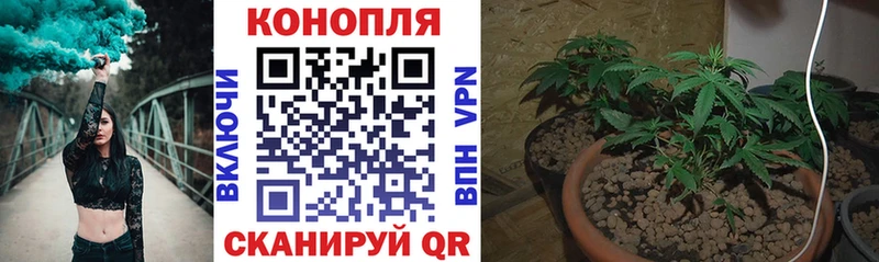 Марихуана Bruce Banner цена Архангельск